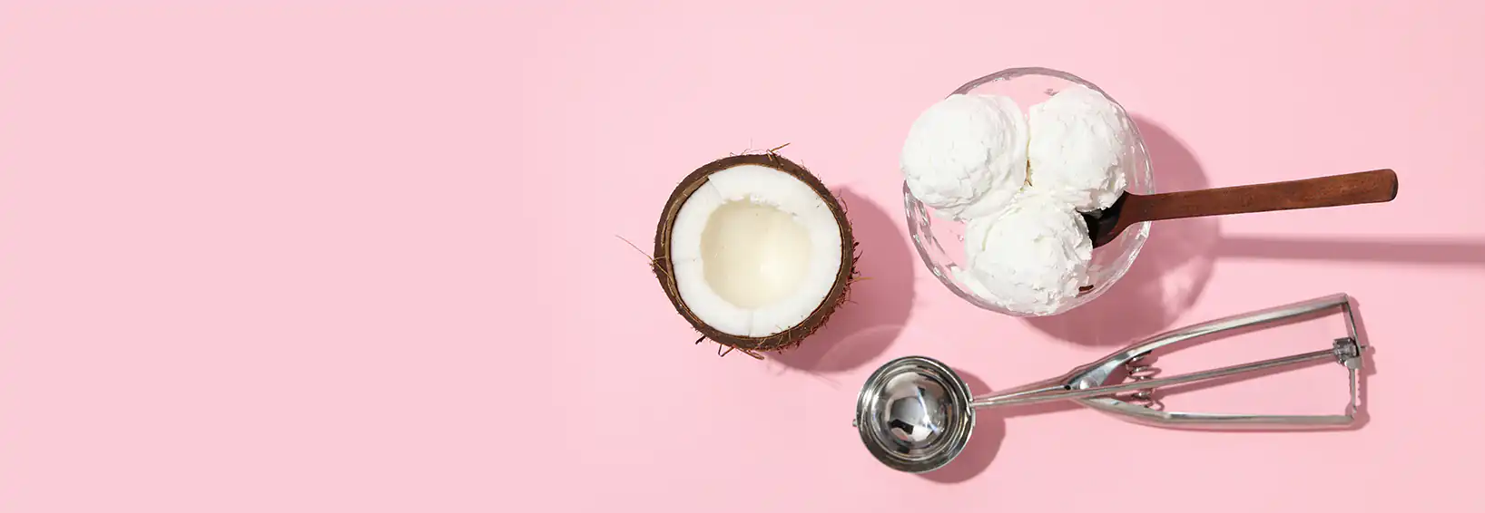 Coconut Milk Ice Cream recipe
